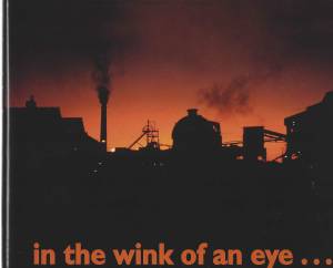 in the wink of an eye